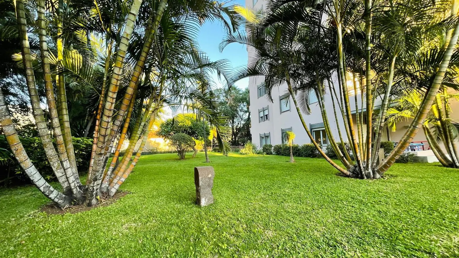Apto Barreiro By Susy'S Holidays Funchal  Portugal